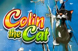 Colin the Cat