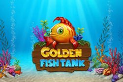 Golden Fish Tank